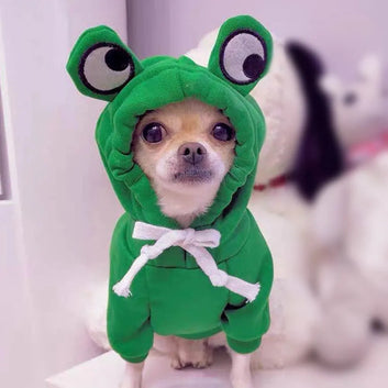Cute Fruit Hoodie for Small Dogs